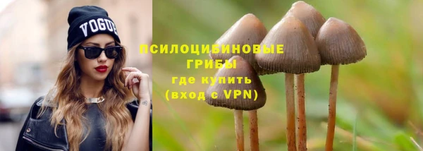 шишки Балахна