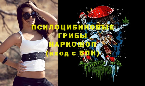 шишки Балахна