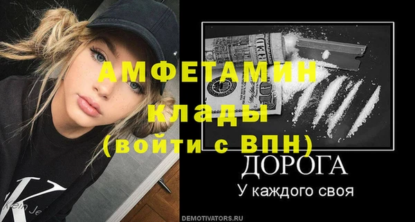 шишки Балахна