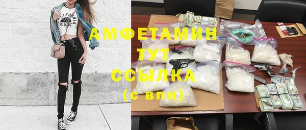 шишки Балахна
