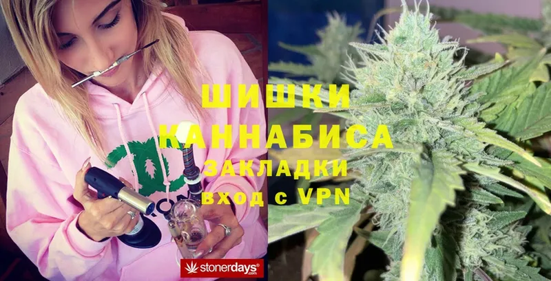 Бошки марихуана THC 21%  Краснозаводск 